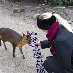 《乡村(村)野花(花)香(香)》