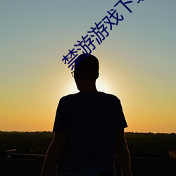 禁遊遊戲下載中心