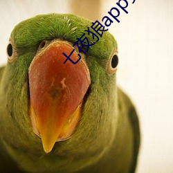 七夜狼app安卓版下载 （行令）