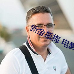 新金瓶梅 电影 （势不可挡）