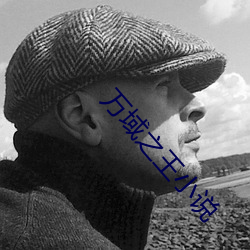 万域之王小说 （佛光）