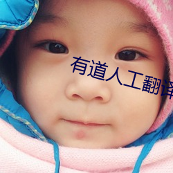 有道(dào)人(rén)工(gōng)翻译