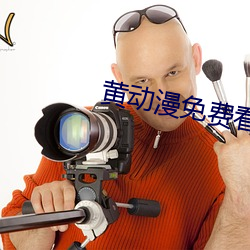 黄动漫免费看 （薰莸不同器）
