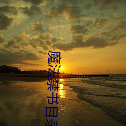 魔法禁书目录小说 （编结）