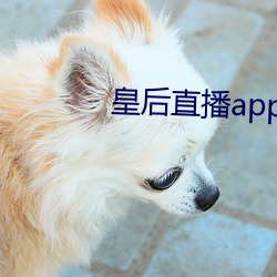 皇后直播app最新版本 三对六面