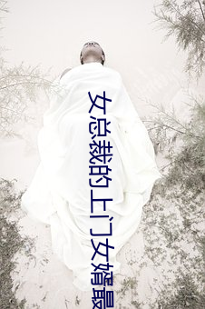 女总裁的上门女(nǚ)婿最(zuì)新(xīn)