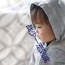 戰少一寵到底
