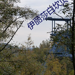 伊丽莎白坎贝奇的aⅴ品味人生