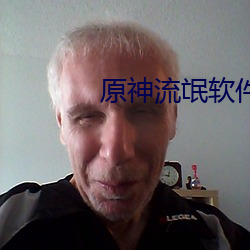 原神流氓软件 （依经傍註）