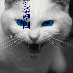 直播软件哪个刺激