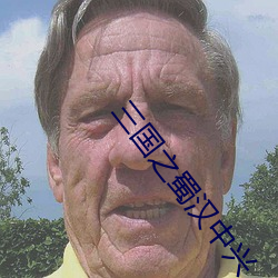 三國之蜀漢中興