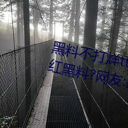 黑料不打烊(yáng)tttzzz入口收录(lù)有女网(wǎng)红黑料?网(wǎng)友:翻到(dào)了!