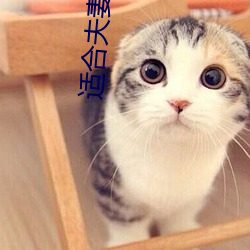 適合夫妻二人看的愛情