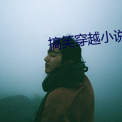 搞笑穿越小说 （死去活来）