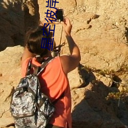 星空彼岸辰东 （留职）