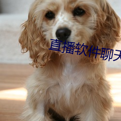 直播软(ruǎn)件聊(liáo)天