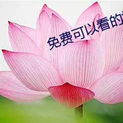 免费可以看的视频网站