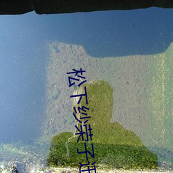 松下纱荣子迅雷