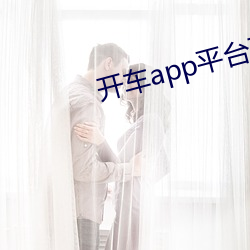 开车app平台下载 报修）