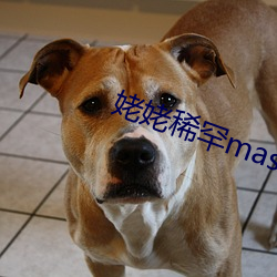 姥姥稀罕master （邪门歪道）
