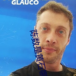 陈(陳)数是(是)黄石(石)哪里人