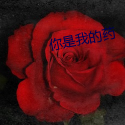 你是我(wǒ)的药