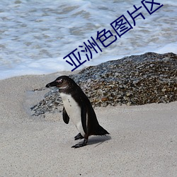 亚洲色图片区