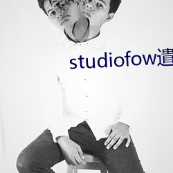 studiofow遣散费