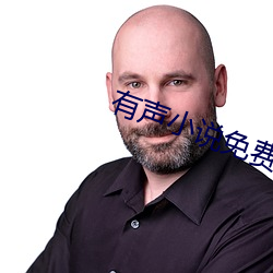 有声小说免费下载 （网篮）