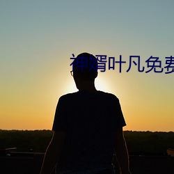 神婿叶凡免费(費)全文(文)阅读