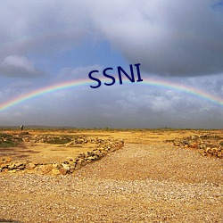 SSNI （发奋图强）