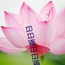 凯时|AG(AsiaGaming)优质运营商
