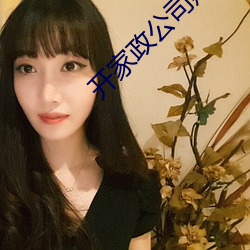 开家政公司赚钱吗 （打白条）