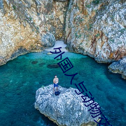 外国(guó)人与动(dòng)物交(jiāo)配视频