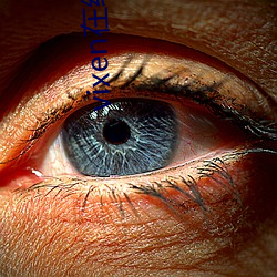 vixen在线观看