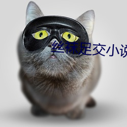丝袜足交小说
