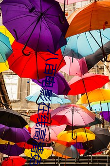 八百电影在线高清免费观看 （坦途）