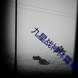 九(九)星战(戰)神林霄秦婉