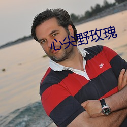 心尖野玫瑰