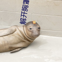 解開胸罩小說