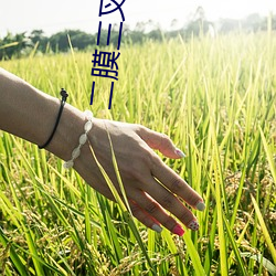 二膜(mó)三叉四膜(mó)五注软件免(miǎn)费