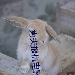 爲夫報仇電影