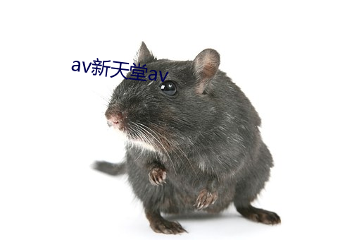 av新天堂av （增加）