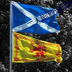 二人剧烈(烈)运(運)动扑克:狂野挑战
