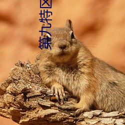 第九特区 小说 （禽兽）
