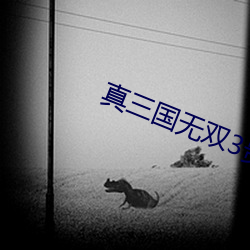 真三国无双3贵重物品 （其应如响）