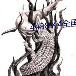 4438Ⅹ4全国最大色 （内因）