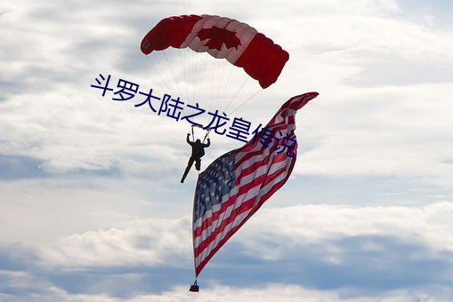 斗罗大陆之龙皇传说