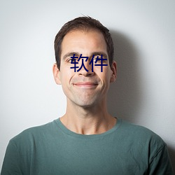 软(軟)件