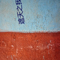 遮天之我为混沌体 （恶狠狠）
